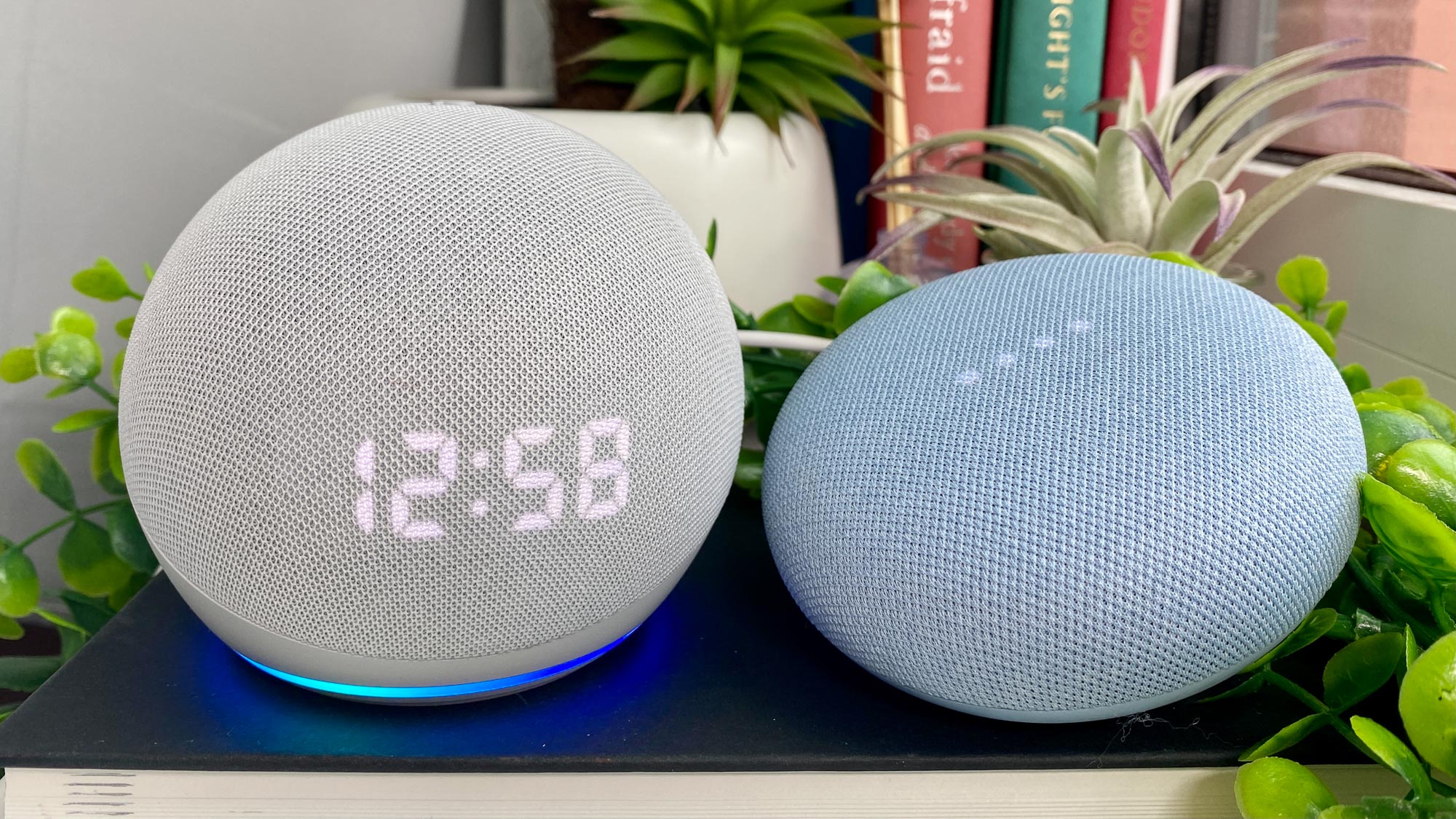 echo dot vs echo pop